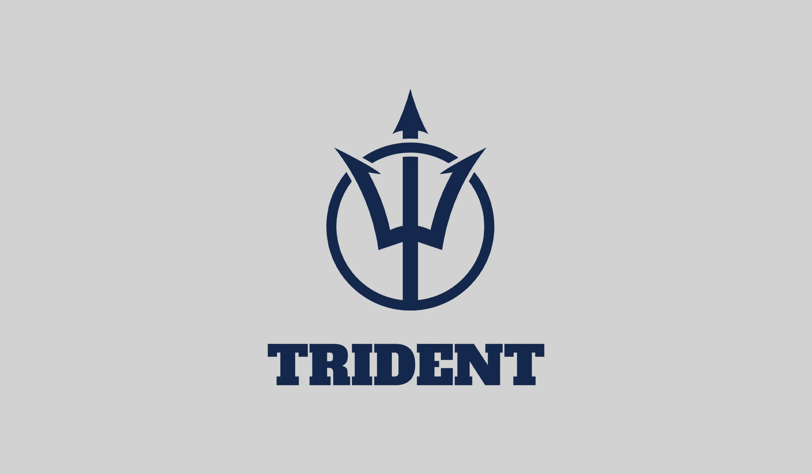 Triednt-vertical-logo-1.1
